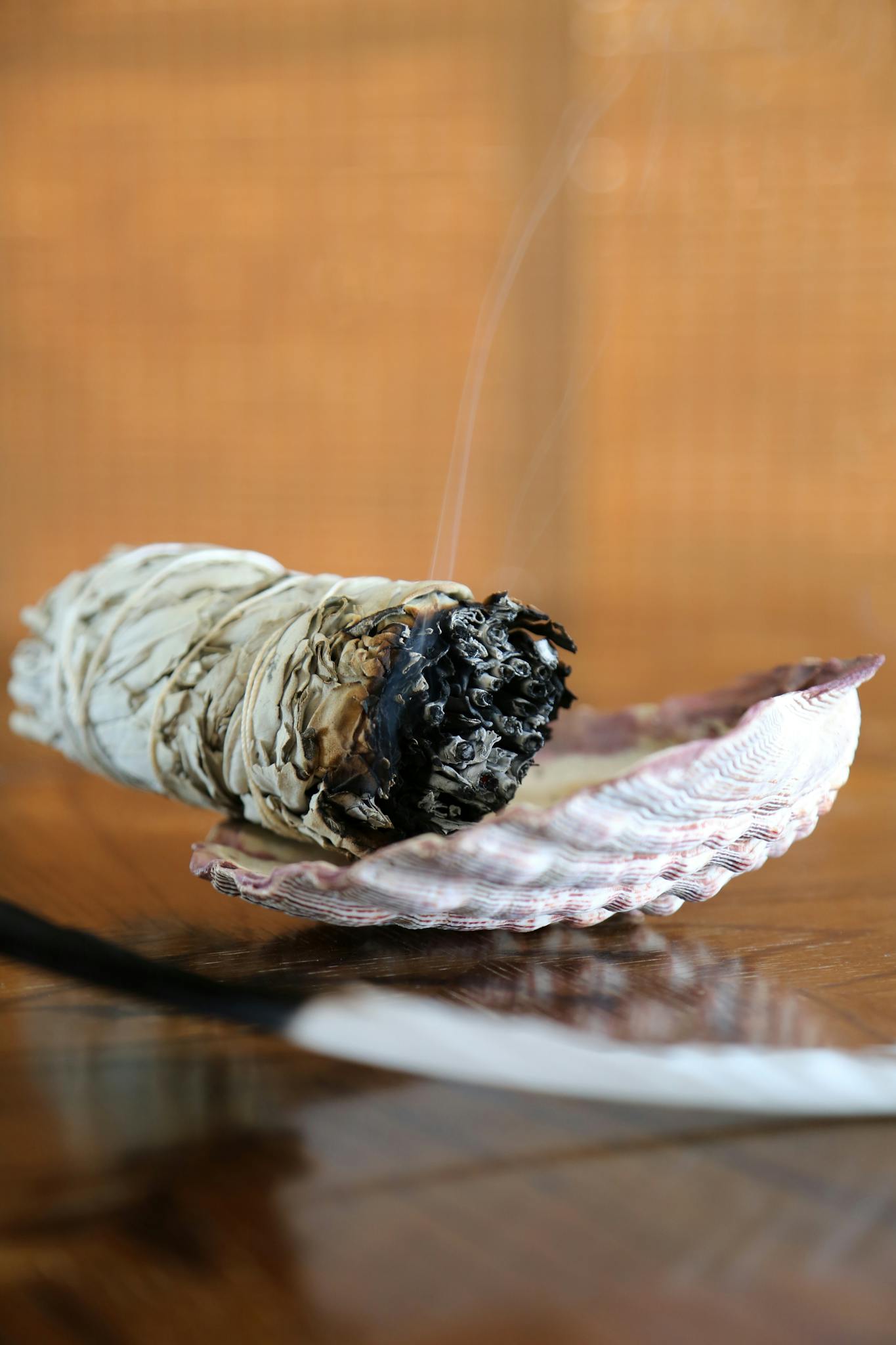 A smudge stick of white sage burning in an abalone shell for a spiritual cleansing ritual.